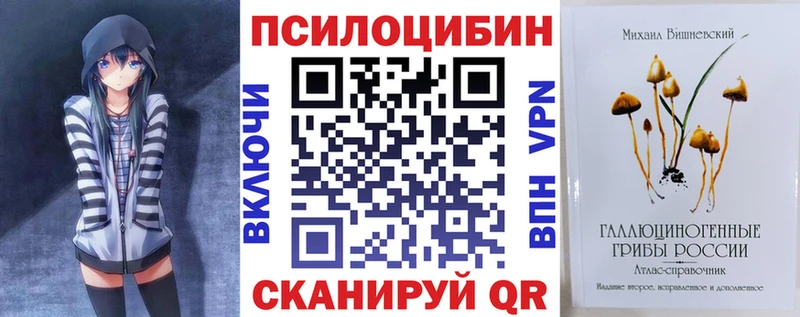 Галлюциногенные грибы Psilocybe Шенкурск